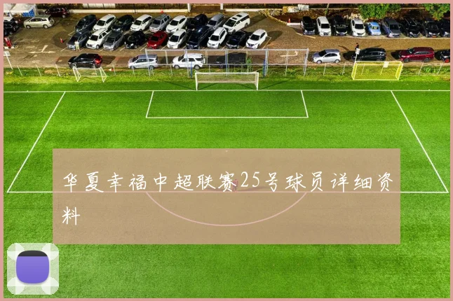 华夏幸福中超联赛25号球员详细资料