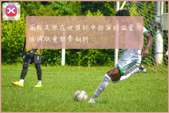 国际足联在世俱杯中扮演的监管与协调双重职责剖析