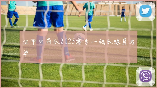 法甲里昂队2025赛季一线队球员名单