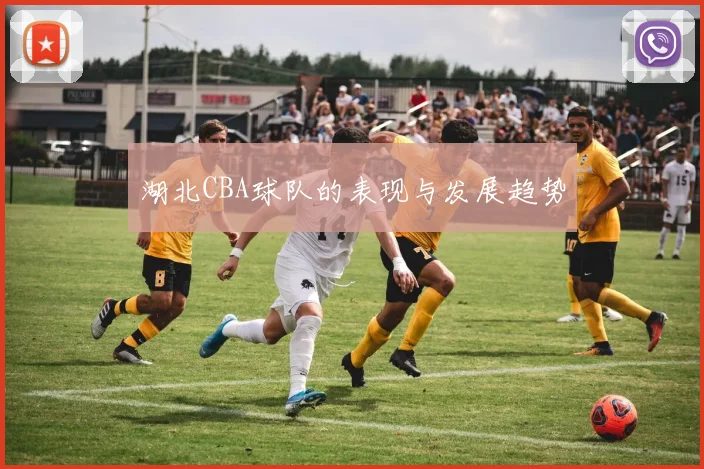 湖北CBA球队的表现与发展趋势