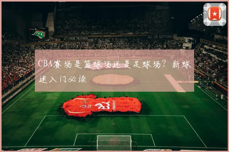 CBA赛场是篮球场还是足球场？新球迷入门必读