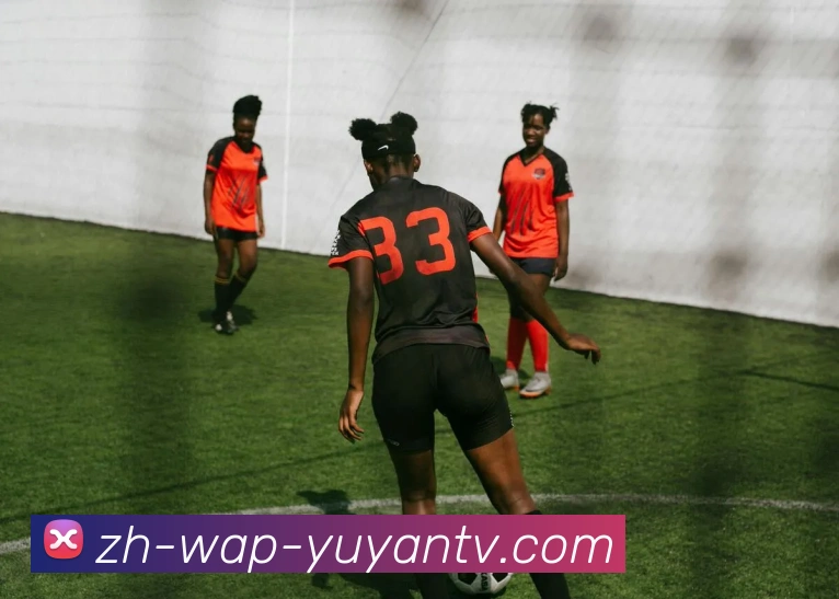 雨燕直播发展历程